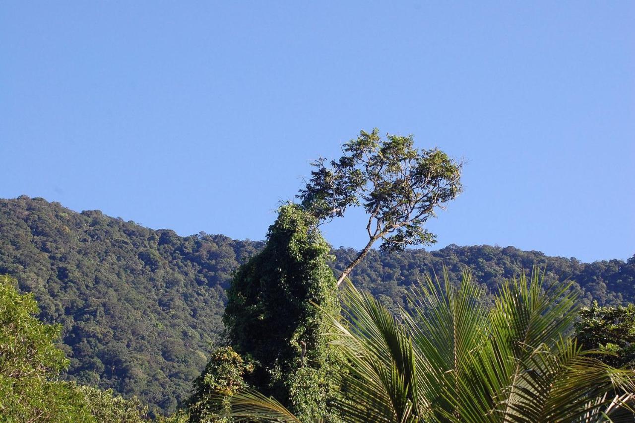 Pousada Toca Da Anita Maresias Sao Sebastiao  Luaran gambar