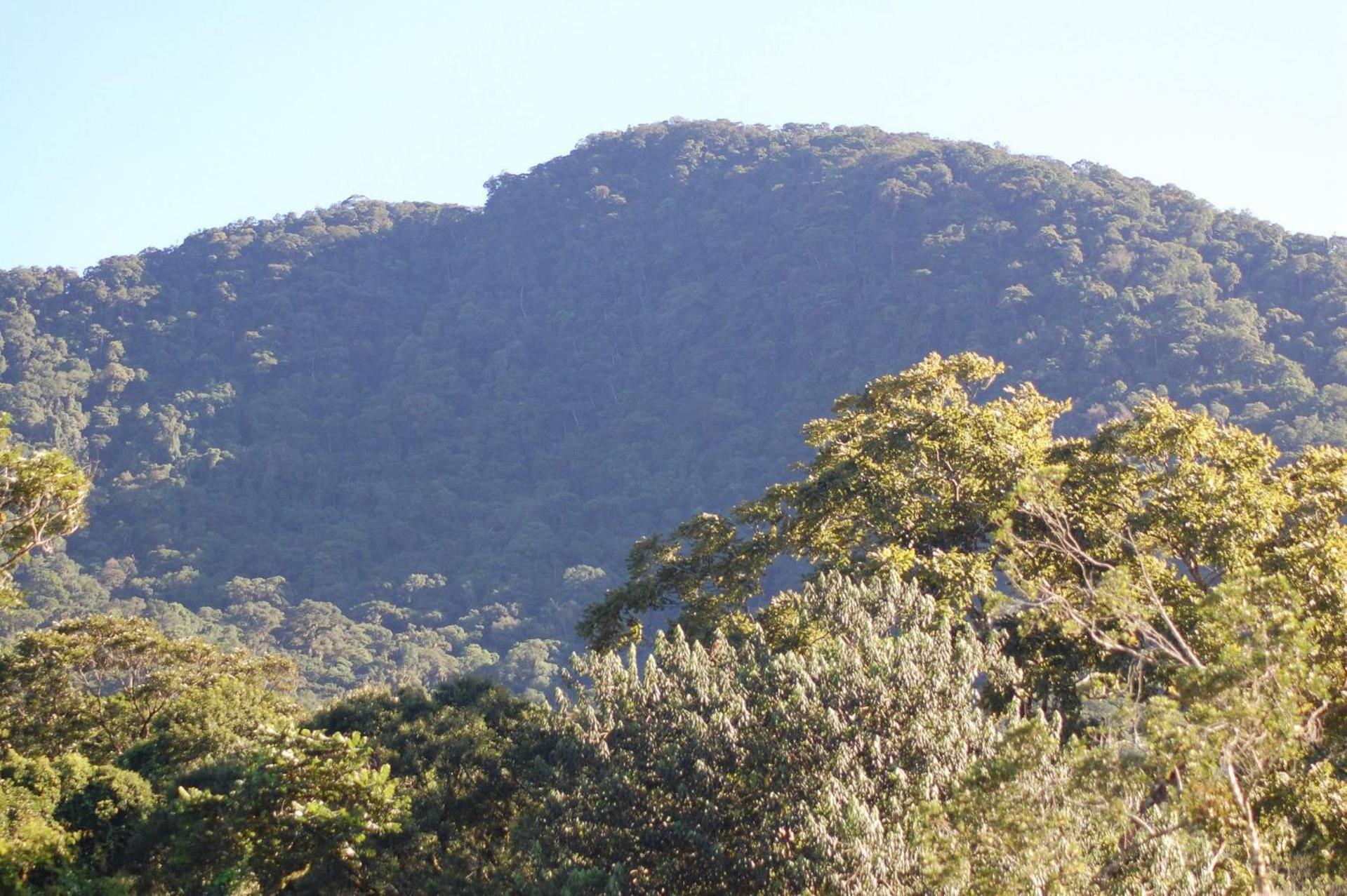 Pousada Toca Da Anita Maresias Sao Sebastiao  Luaran gambar