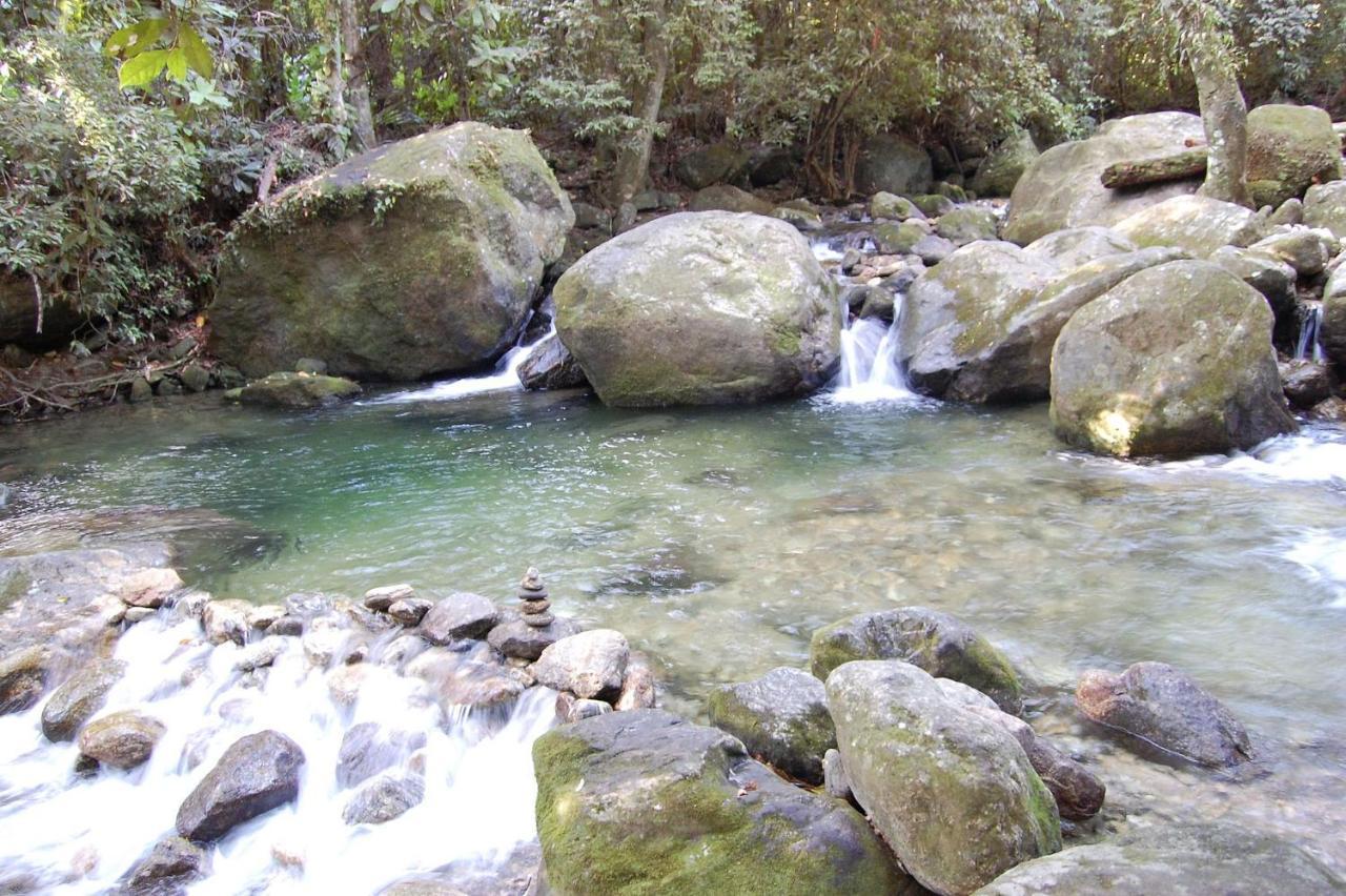 Pousada Toca Da Anita Maresias Sao Sebastiao  Luaran gambar
